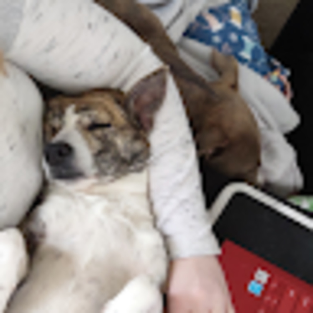 Meet your Posher, Hanna